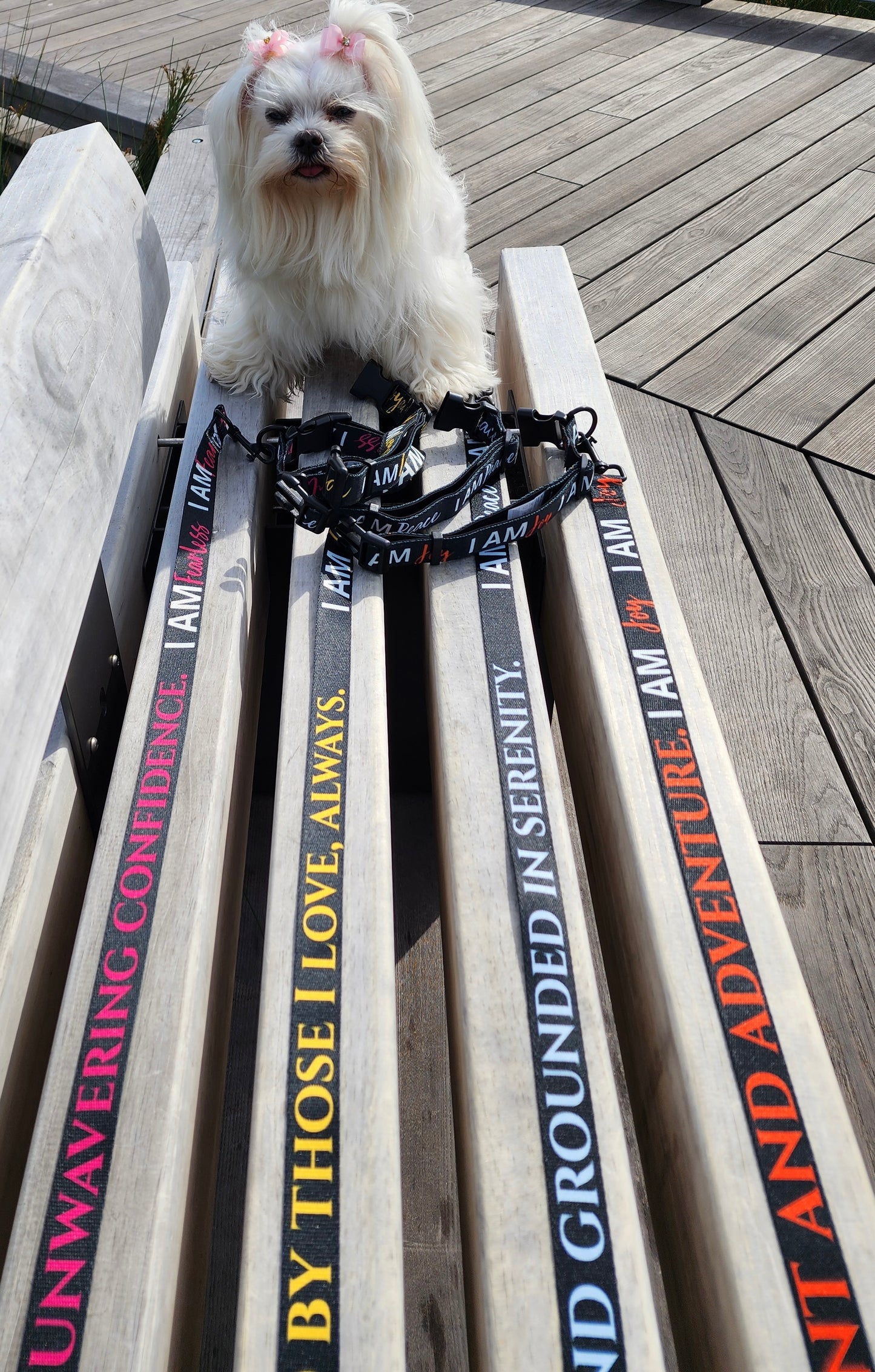 I AM GRATEFUL Totem Pride Leash & Collar
