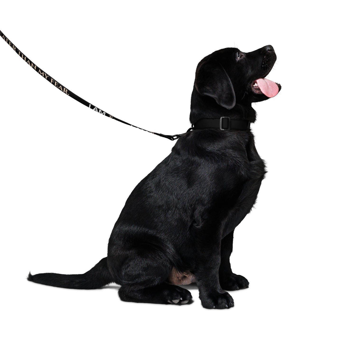 I AM BRAVE Totem Pride Leash & Collar Set