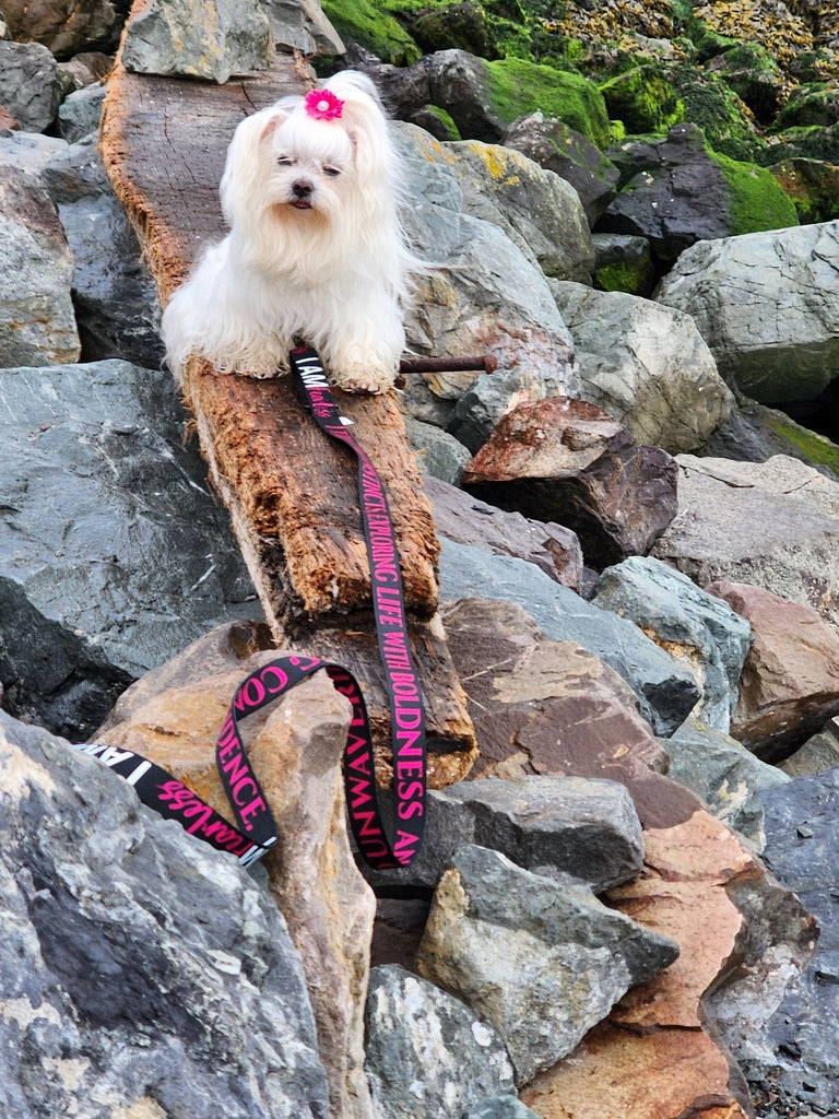 I AM FEARLESS Totem Pride Leash & Collar Set