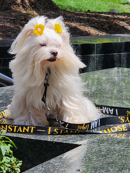 I AM GRATEFUL Totem Pride Leash & Collar