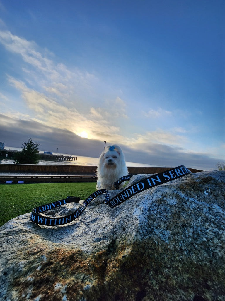 I AM PEACE Totem Pride Leash & Collar