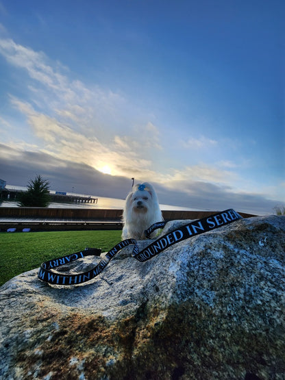 I AM PEACE Totem Pride Leash & Collar