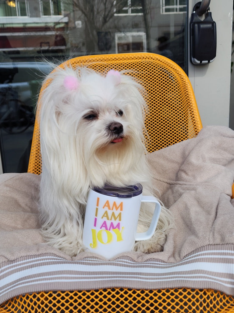 I AM JOY Totem Pride Leash & Collar Set