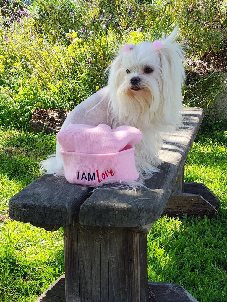 I AM LOVE Totem Pride Leash & Collar