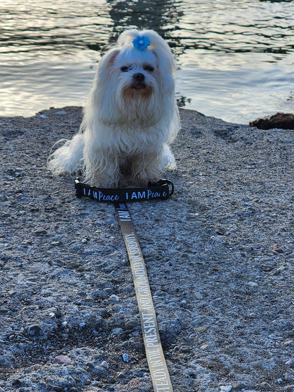 I AM PEACE Totem Pride Leash & Collar