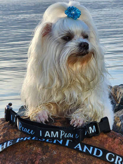 I AM PEACE Totem Pride Leash & Collar