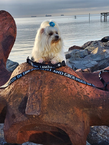 I AM PEACE Totem Pride Leash & Collar