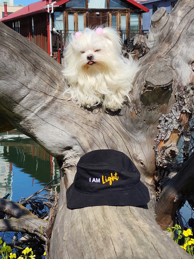 I AM LIGHT Totem Pride Leash & Collar Set