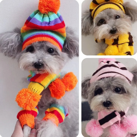 Rainbow Stripe Knitted Dog Set