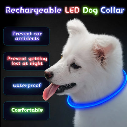 Pet Dog LED Light Collar Luminous Anti-Lost Dog Collar USB Rechargeable Dog Necklace Collar