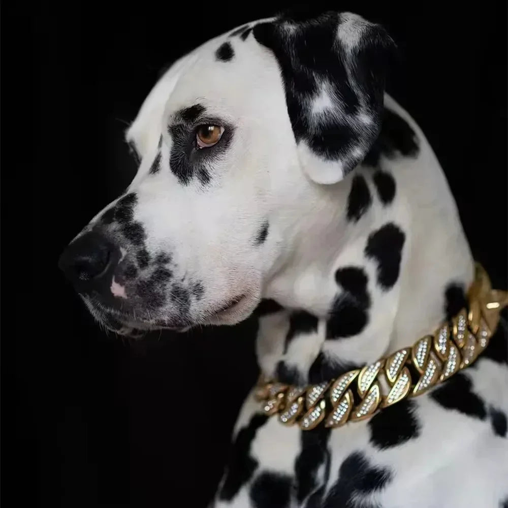 32MM Alloy Dog Collar Chain Diamond Inlay Sparkle Bulldog Necklace Cat Collars Pet Accessories Small Medium Large Dogs Golden