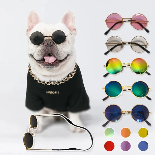 PET Sunglasses