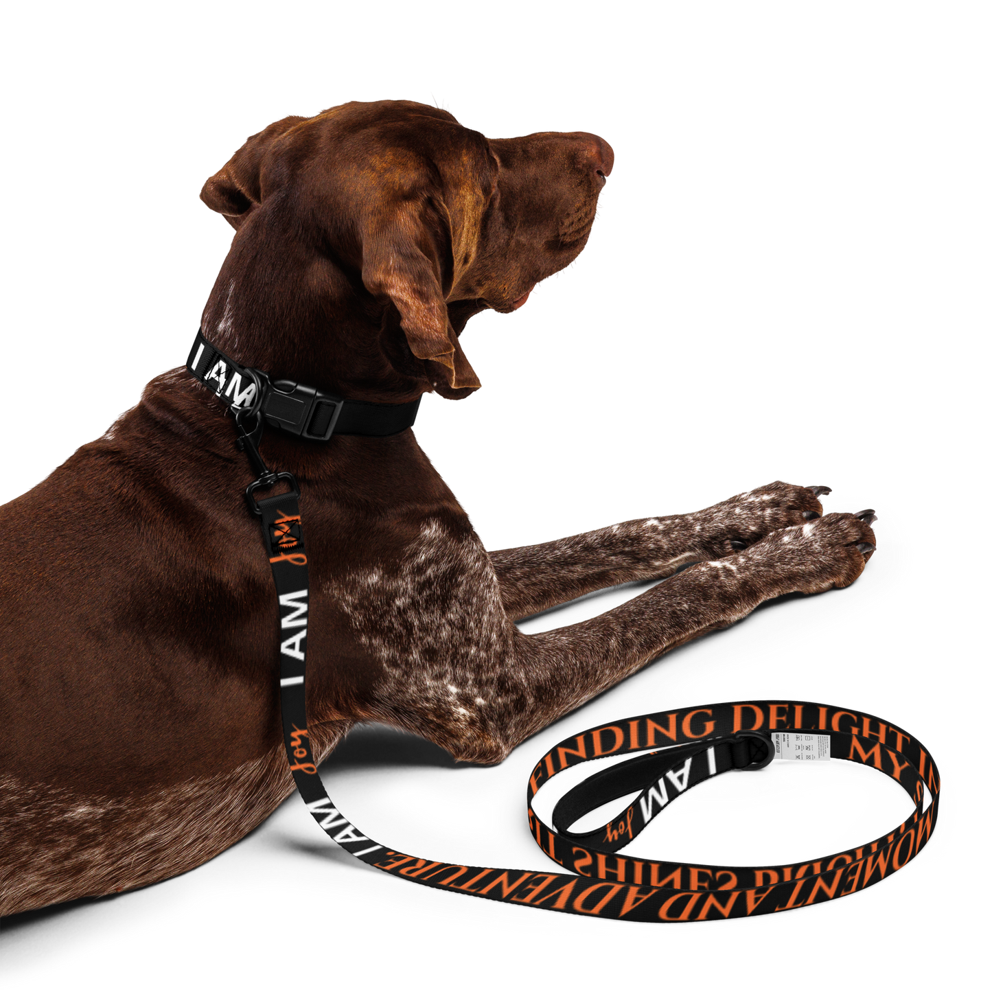 I AM JOY Totem Pride Leash & Collar Set