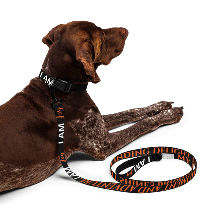 I AM JOY Totem Pride Leash & Collar Set