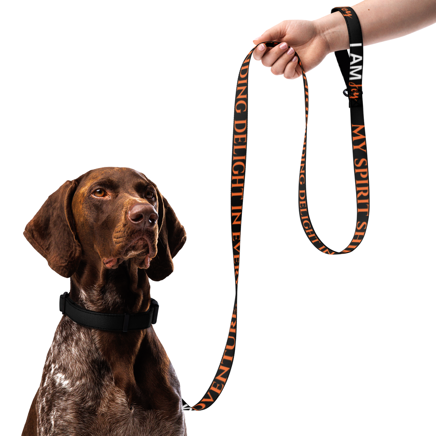 I AM JOY Totem Pride Leash & Collar Set