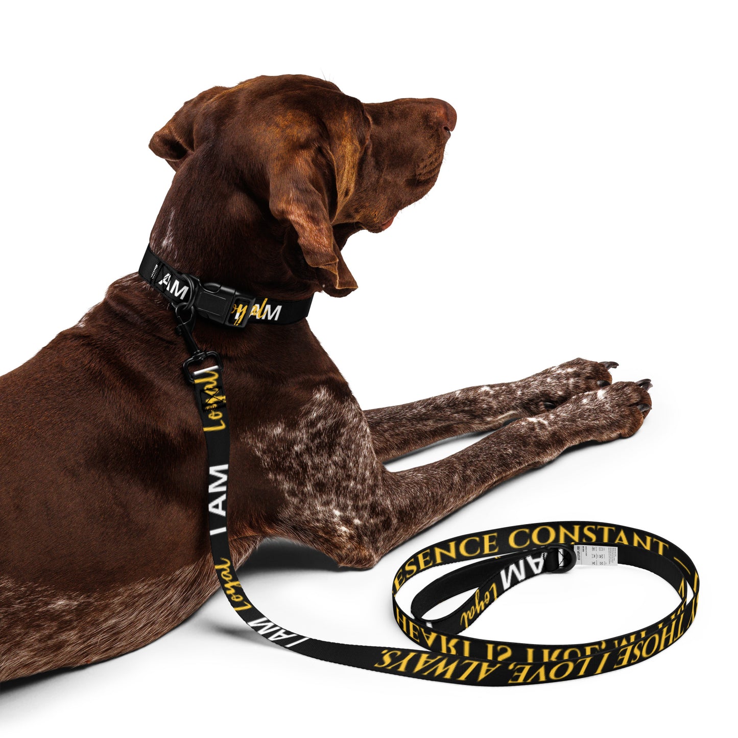 I AM LOYAL Totem Pride Leash & Collar Set