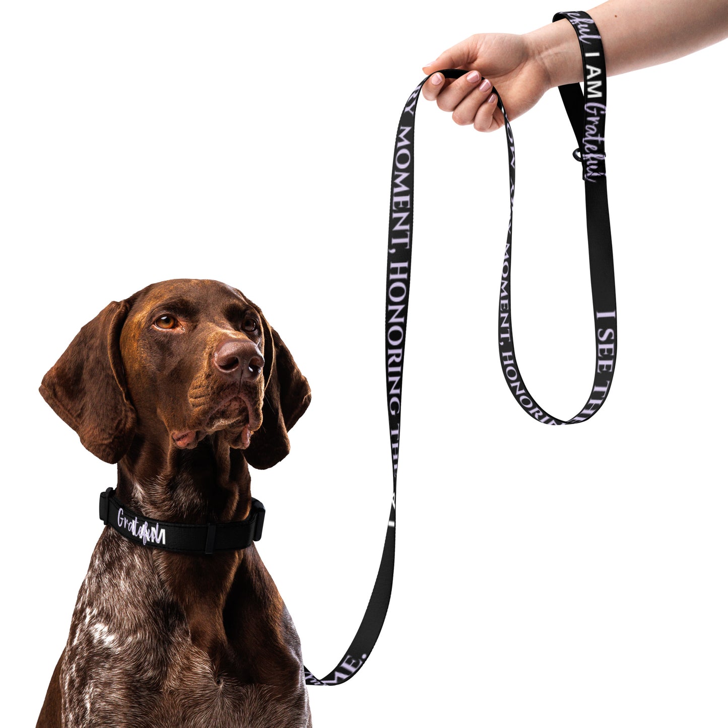 I AM GRATEFUL Totem Pride Leash & Collar