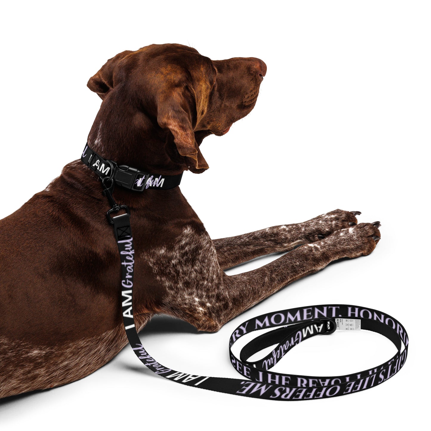 I AM GRATEFUL Totem Pride Leash & Collar